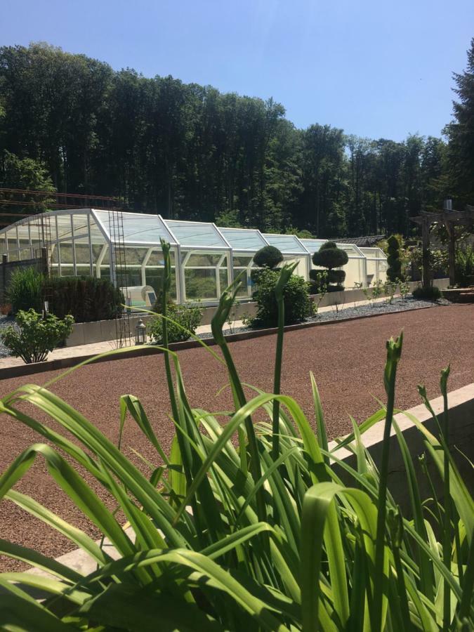 סנט-אבול Logis Hotel Domaine Du Moulin מראה חיצוני תמונה